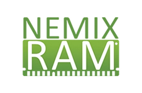 NEMIIX RAM