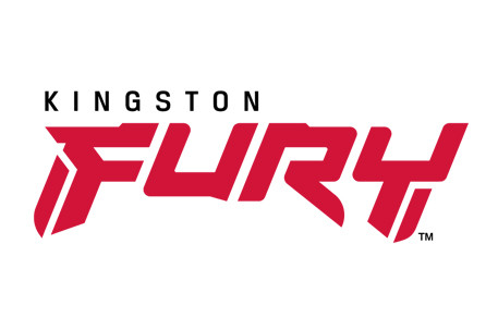 KINGSTON FURY