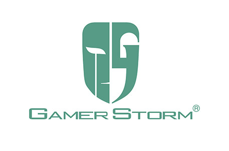 GAMER STORM